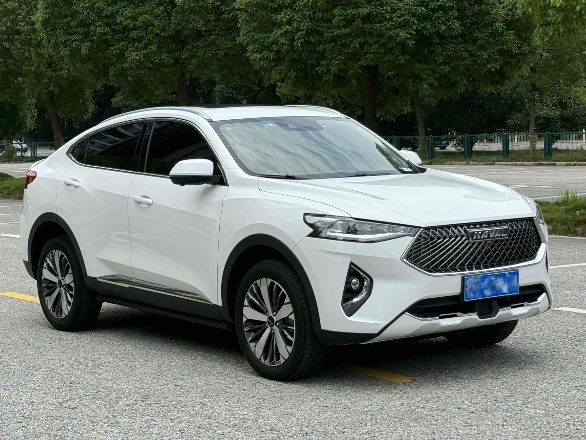 Haval F7x 2020 #6 Haval F7x 2020 car image #6