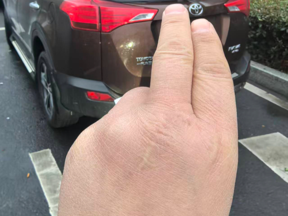 Toyota RAV4 2015 immagine di auto #6