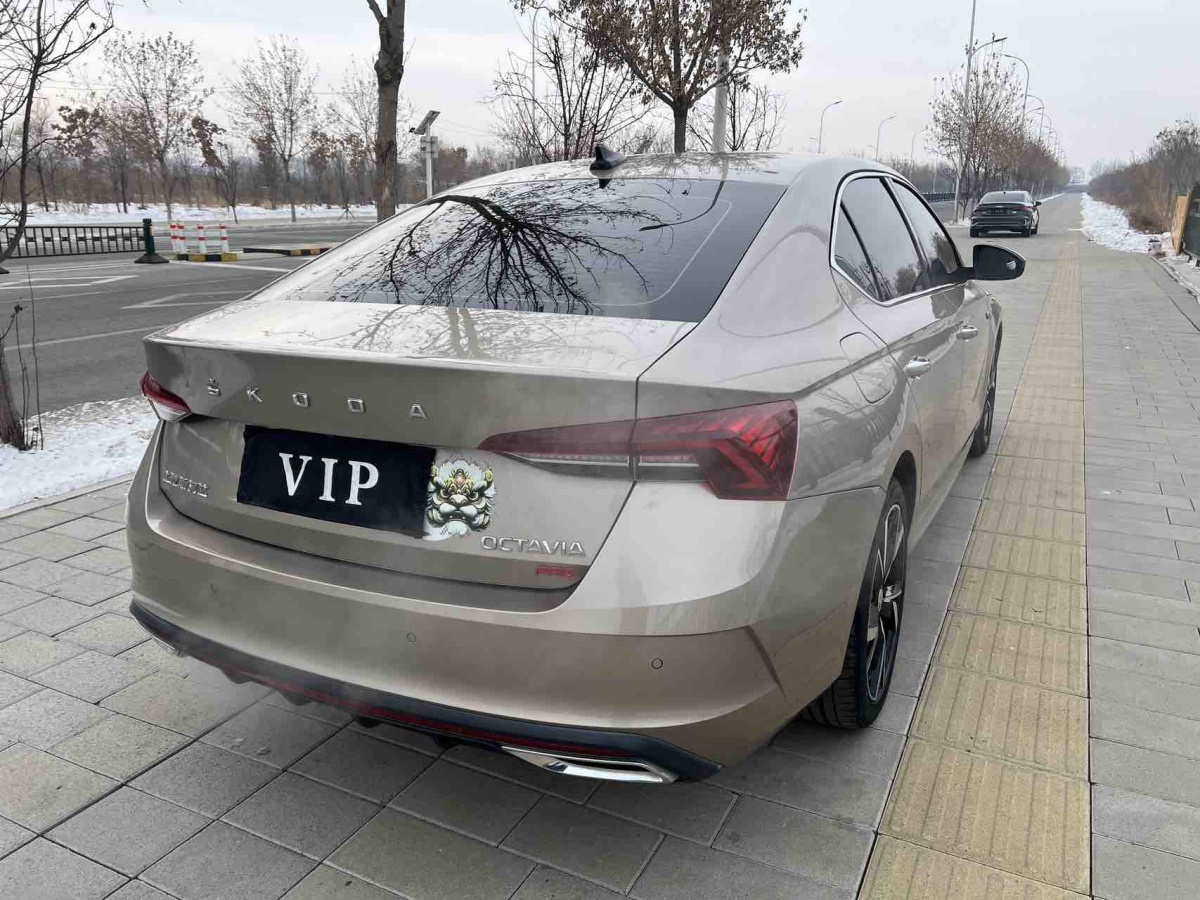 Skoda Octavia 2021 car image #6