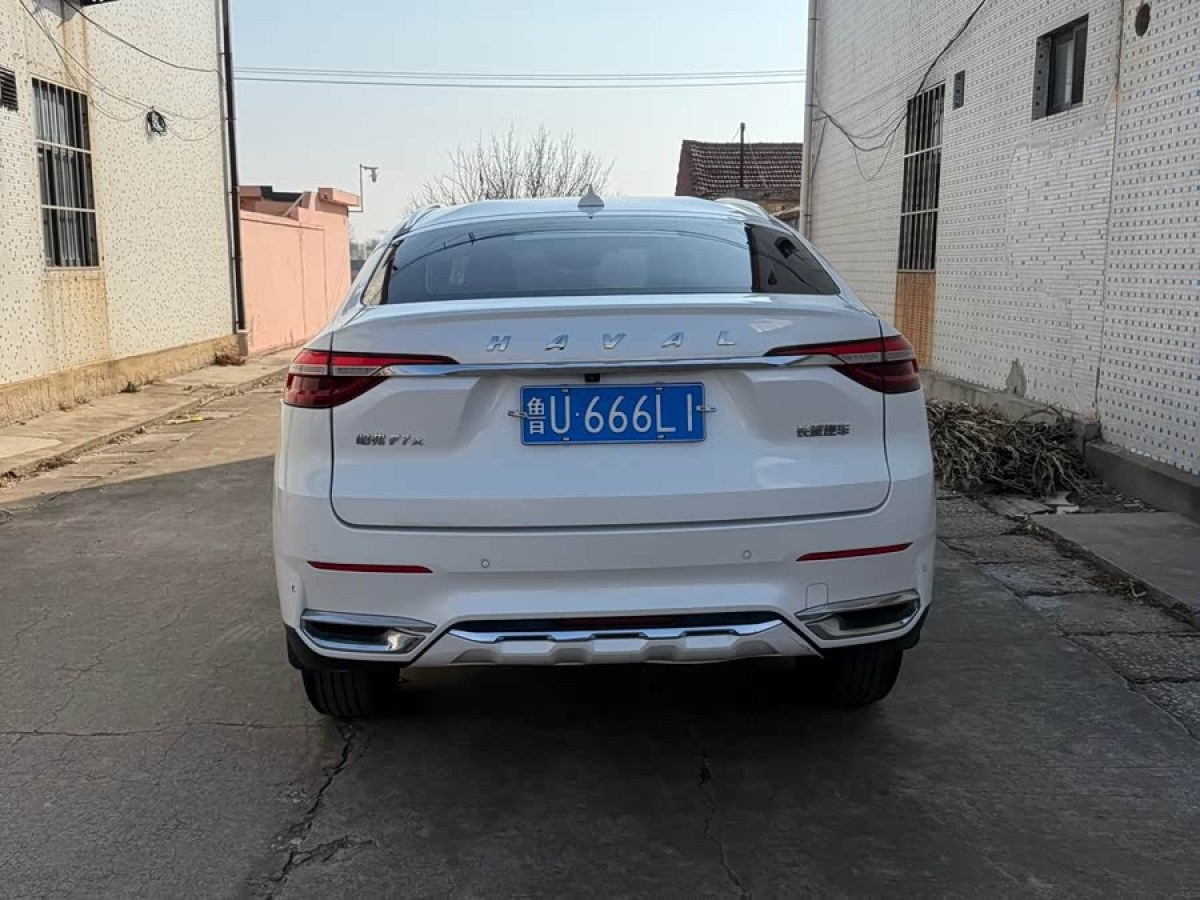 Haval F7x 2019 immagine di auto #6