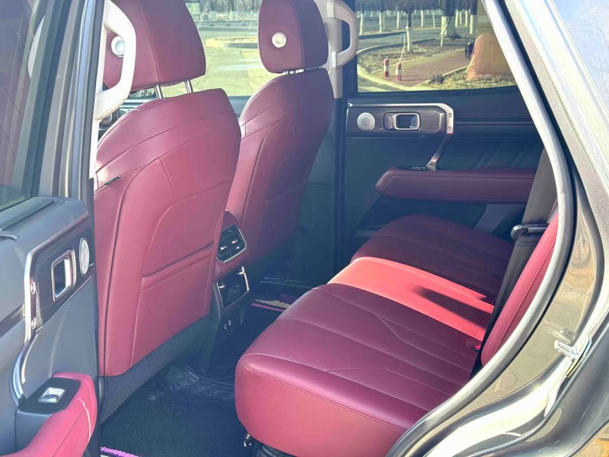 Tank 400 New Energy 2024 #6 Tank 400 New Energy 2024 car image #6