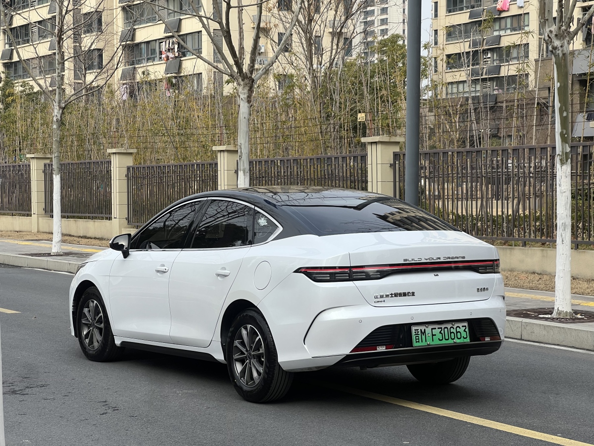 BYD Destroyer 05 2024 car image #6