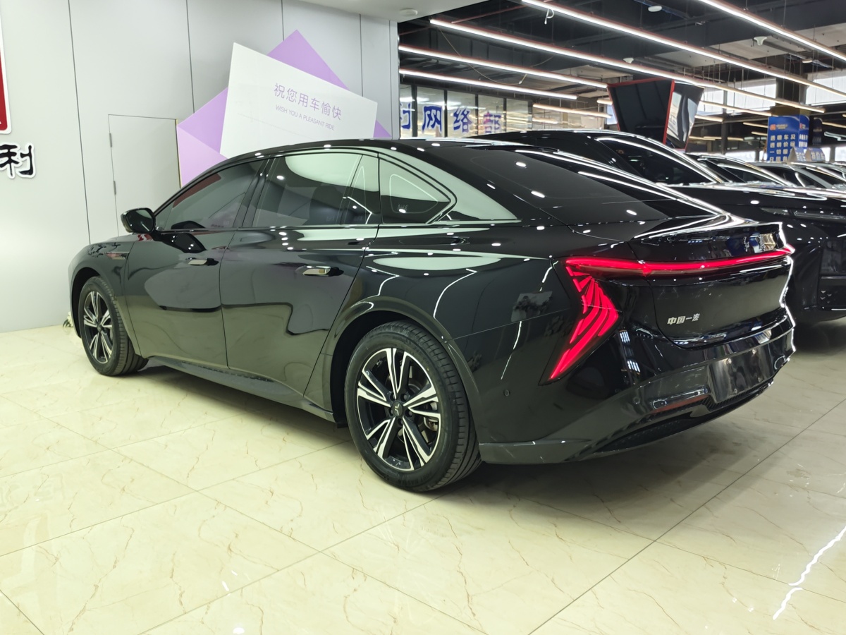 HongQi EH7 2024 car image #6