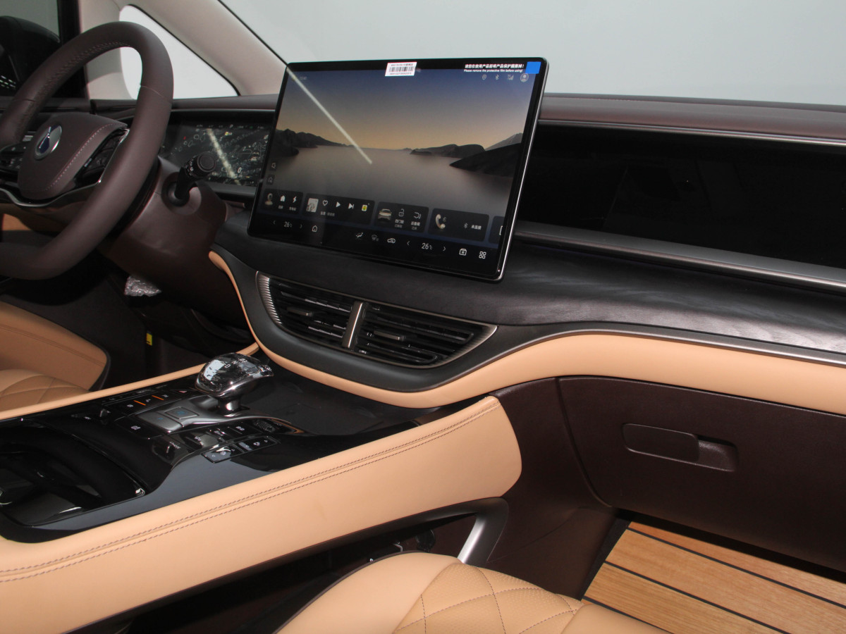 Denza D9 2025 car image #6