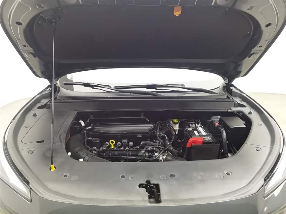 Forthing T5 EVO 2024 car image #6