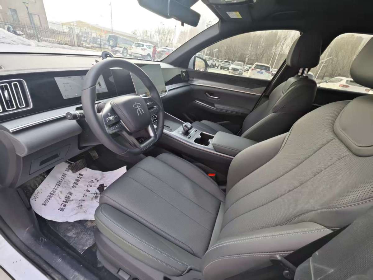 BYD Song Pro New Energy 2025 car image #6