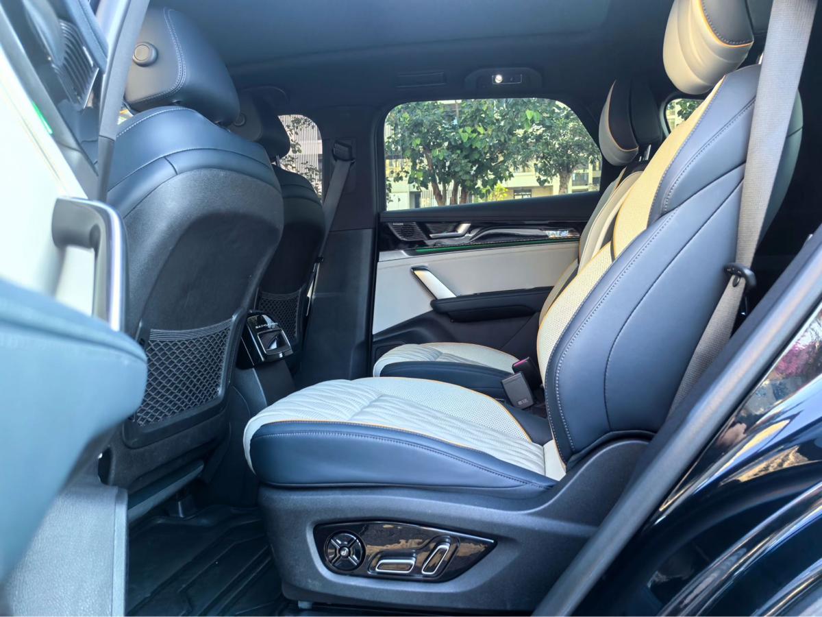 BYD Tang New Energy 2022 car image #6