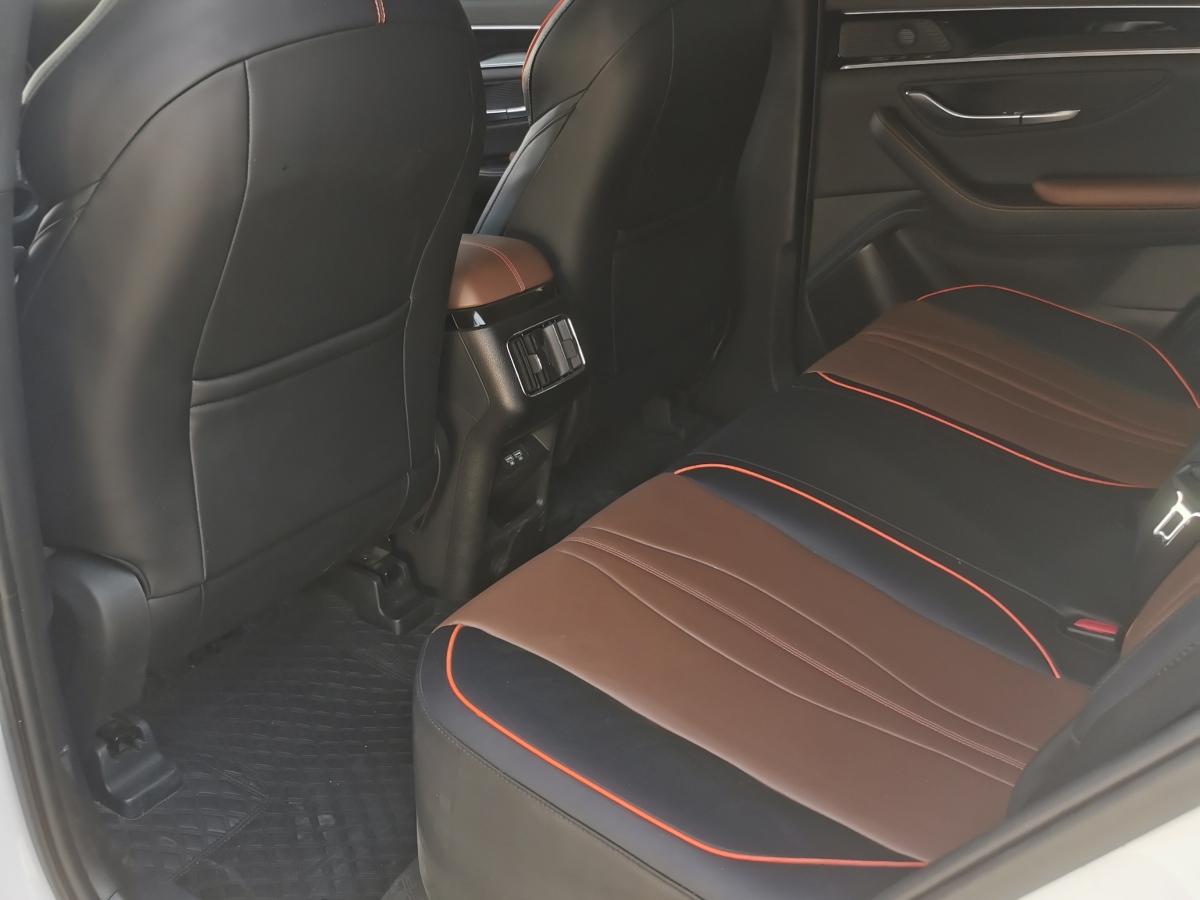 BYD Song Plus 2021 immagine di auto #6