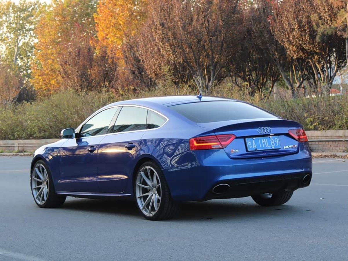 Audi S5 2012 #6 Audi S5 2012 car image #6