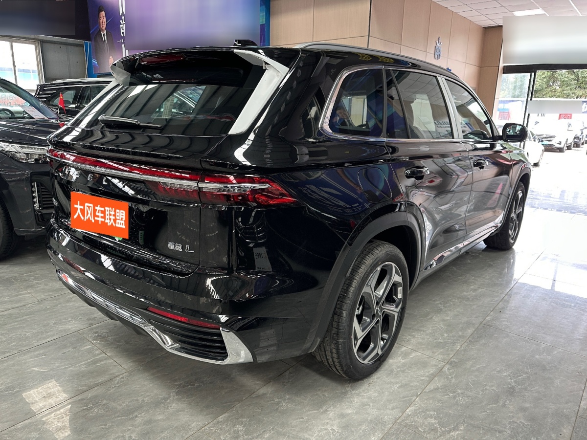 GEELY Monjaro 2025 immagine di auto #6