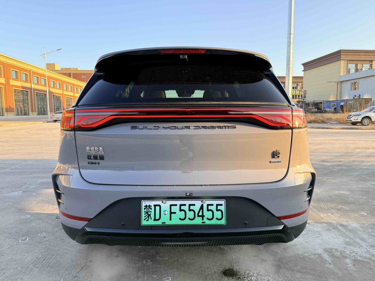 BYD Tang New Energy 2025 car image #6