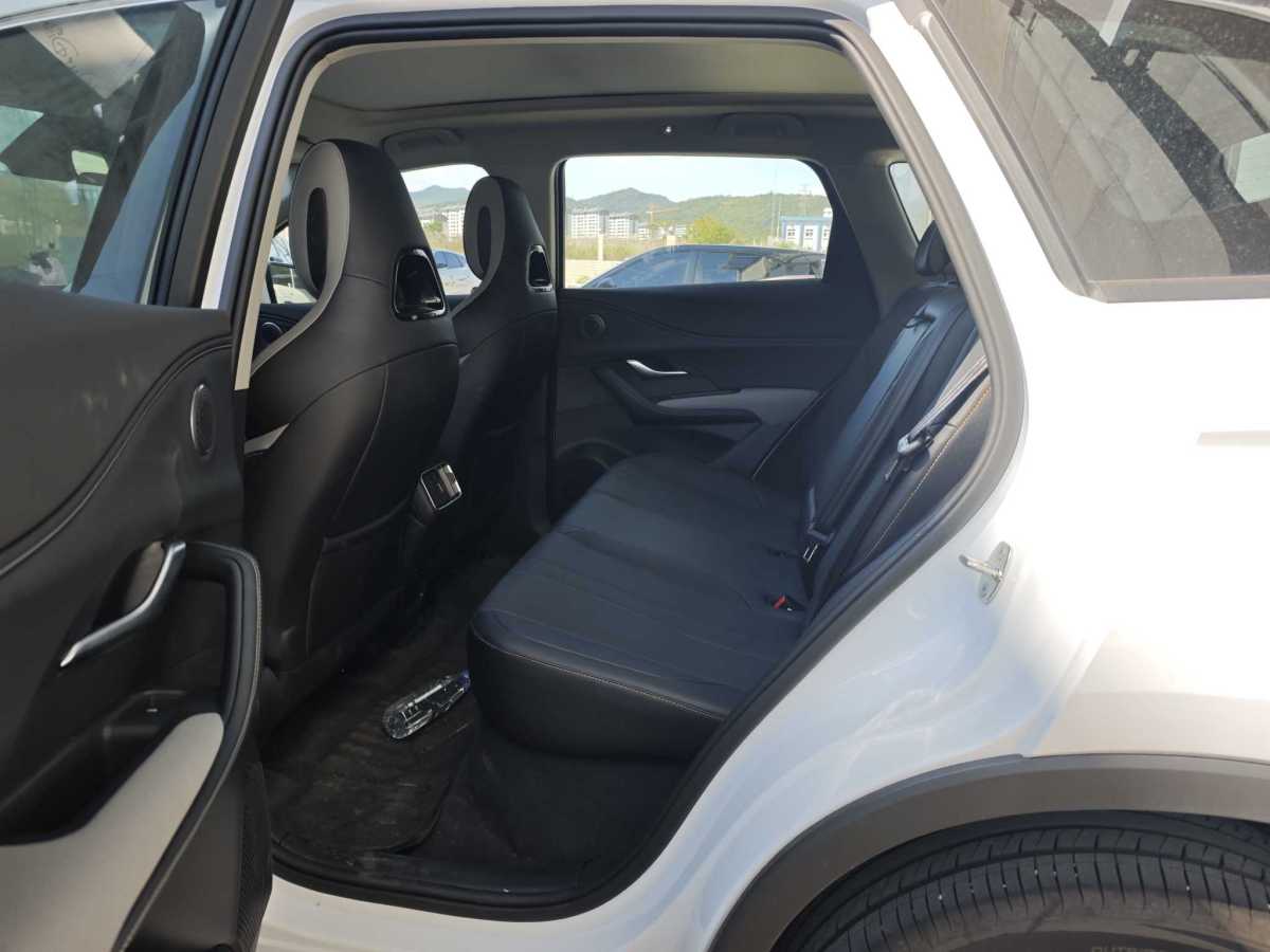 BYD Sea Lion 05 DM-i 2025 car image #6