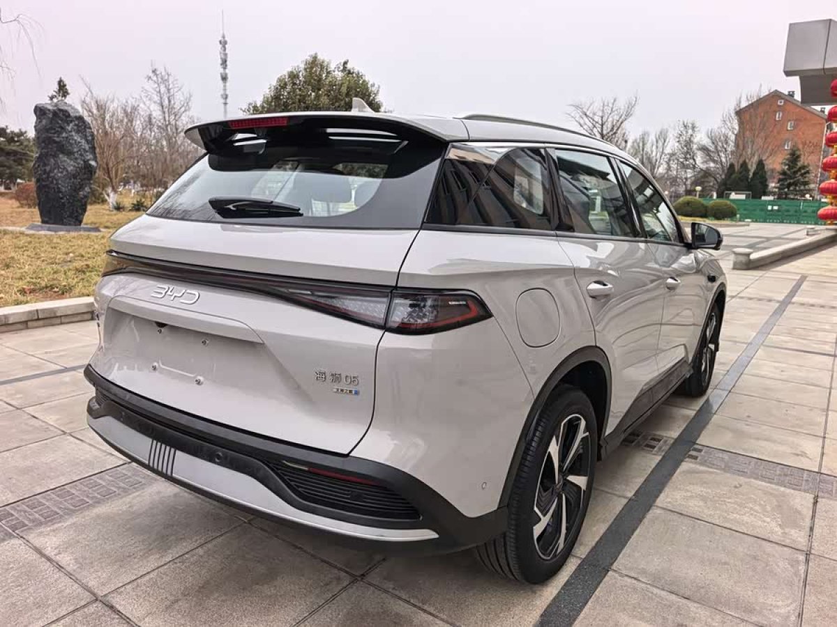 BYD Sea Lion 05 DM-i 2025 car image #6