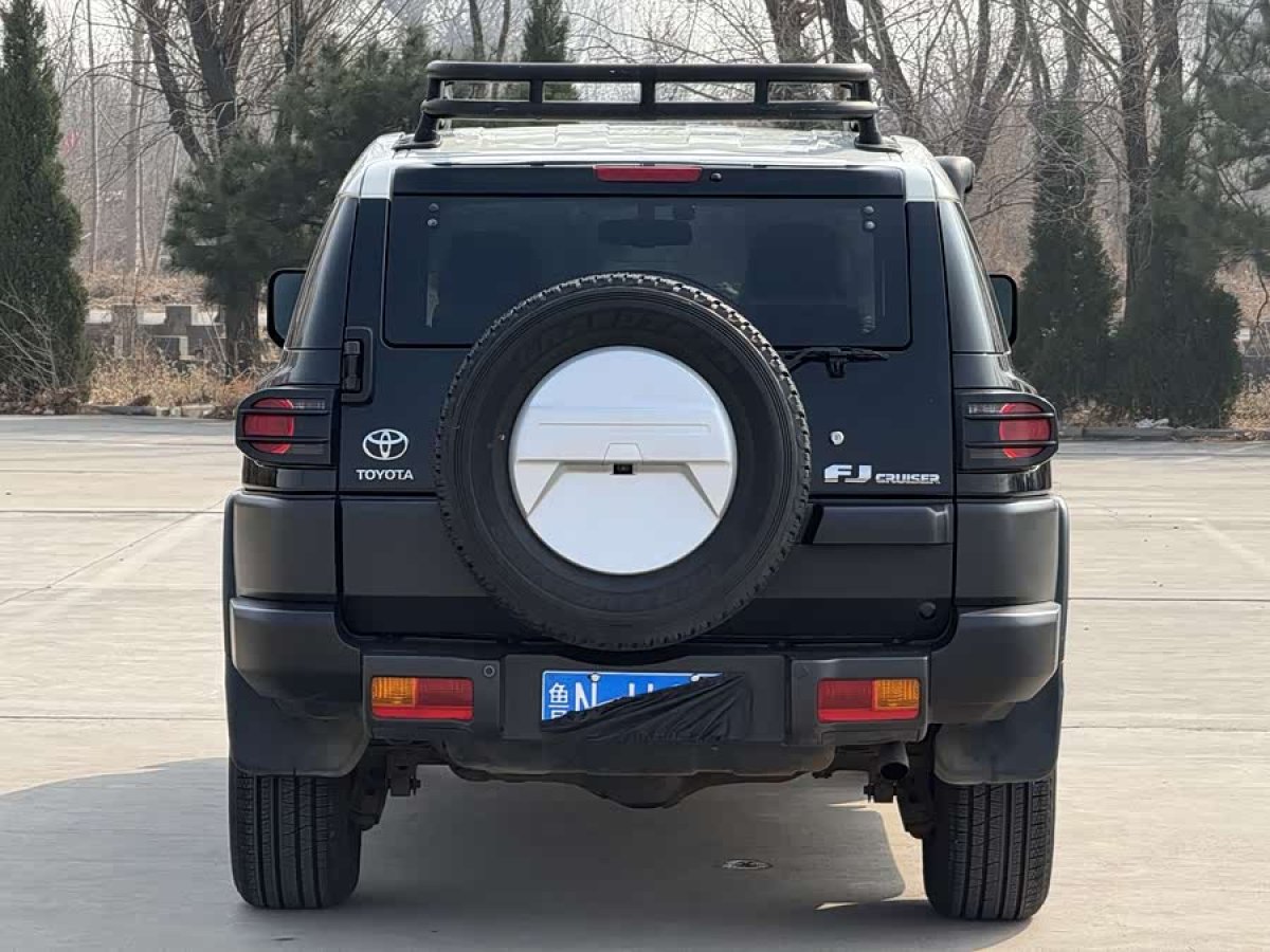 Toyota FJ Cruiser 2011 car image #6