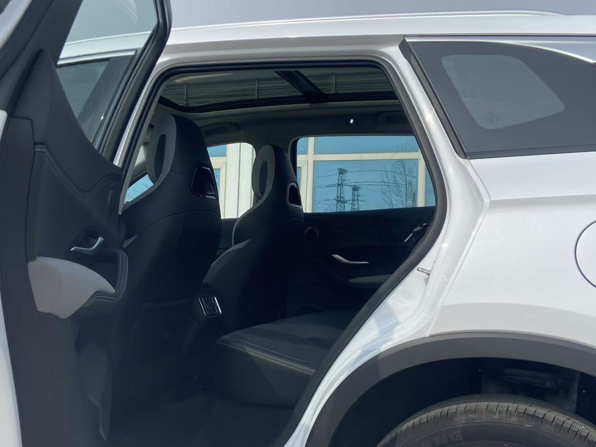 BYD Sea Lion 05 DM-i 2024 car image #6