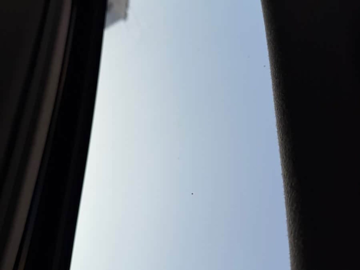 Honda Envix 2019 car image #6