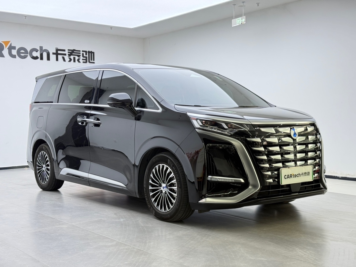 Denza D9 2024 immagine di auto #6