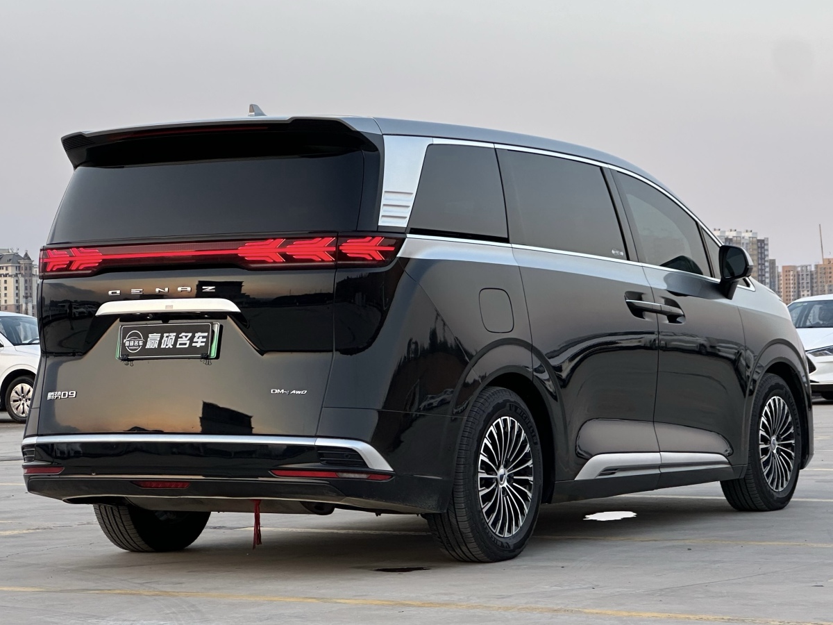 Denza D9 2023 imagem de carro #6