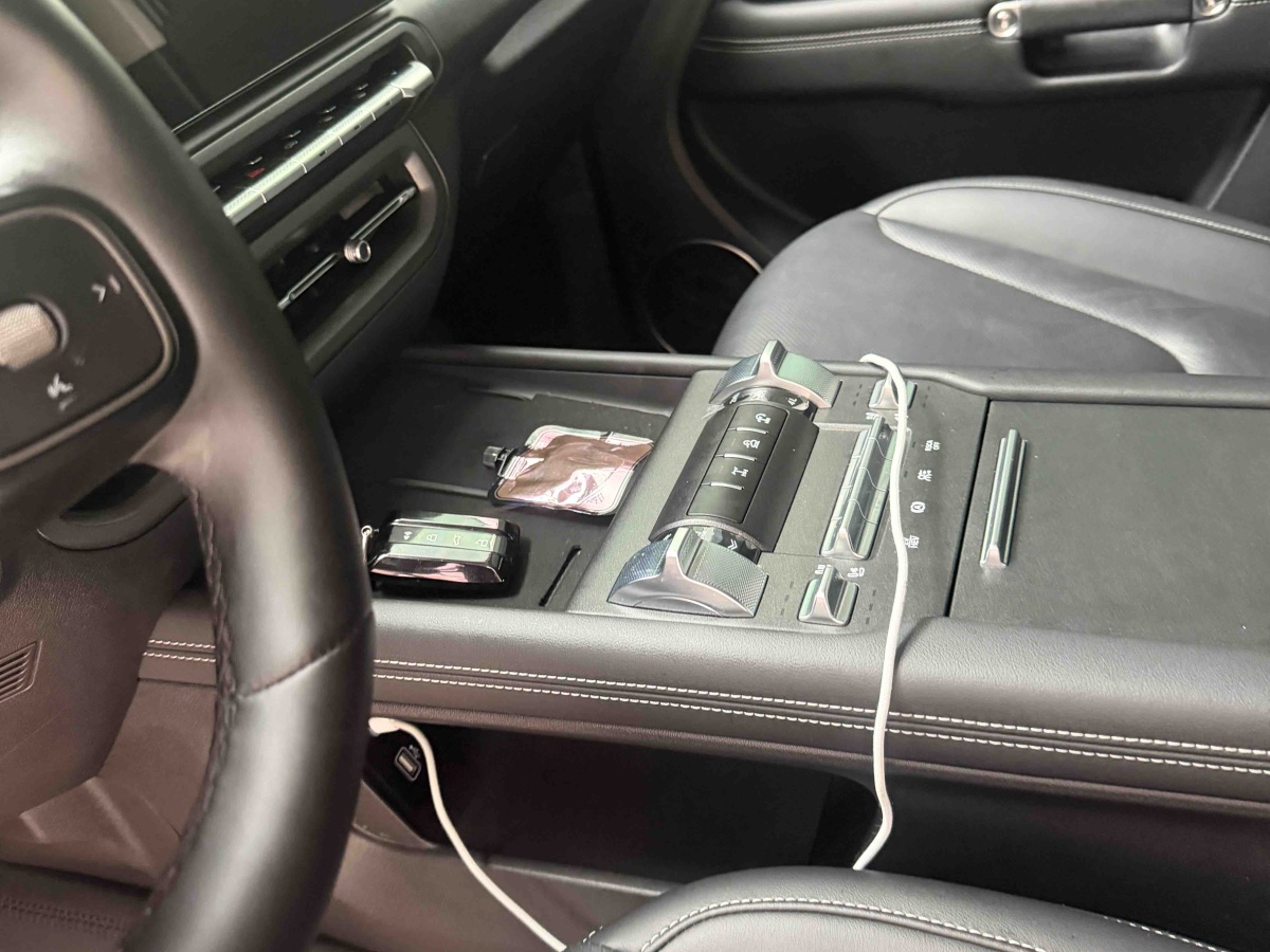 Tank 300 New Energy 2025 car image #6