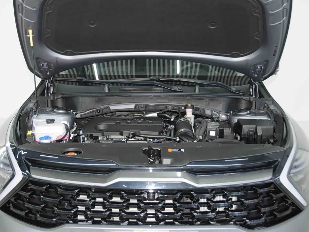 起亚 狮铂拓界 2024 汽车图片 #6