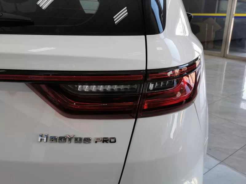 GEELY OkavangoPRO 2024 car image #6