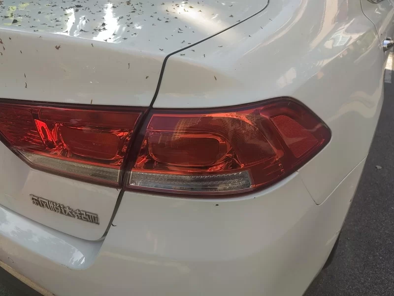 起亚 起亚K4 2015 汽车图片 #6