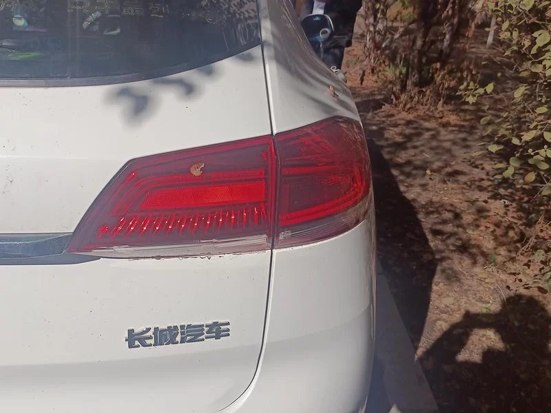 Haval H2s 2017 car image #6