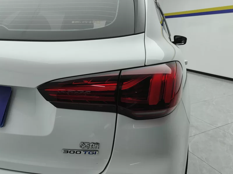 MG Pilot 2023 car image #6