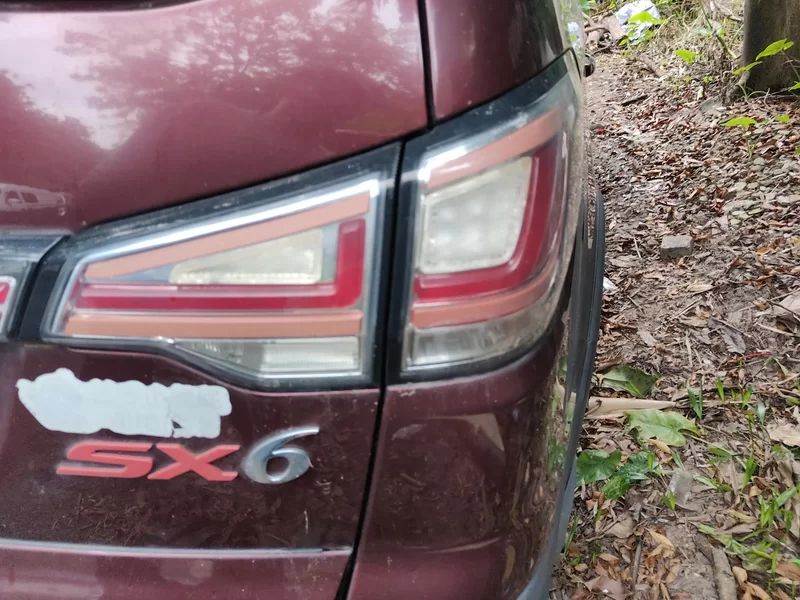 Forthing SX6 2016 #6 Forthing SX6 2016 car image #6