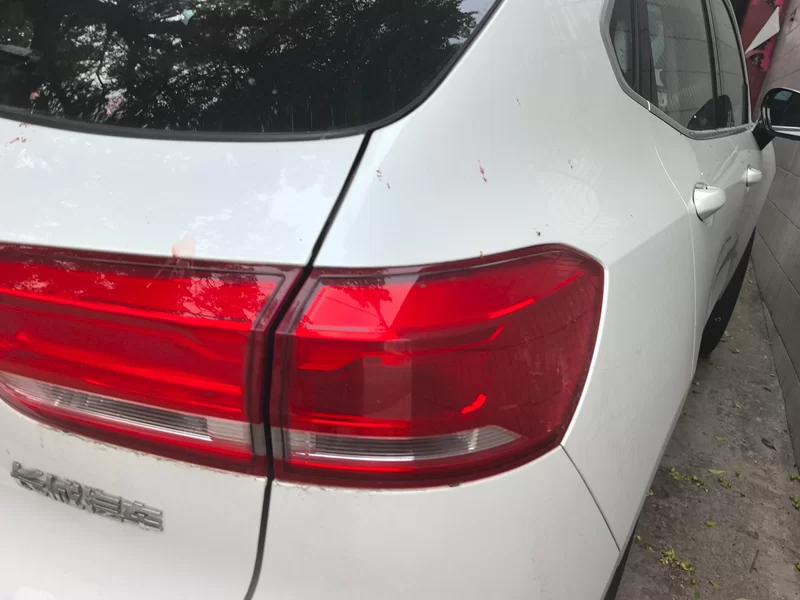 Haval F5 2018 car image #6