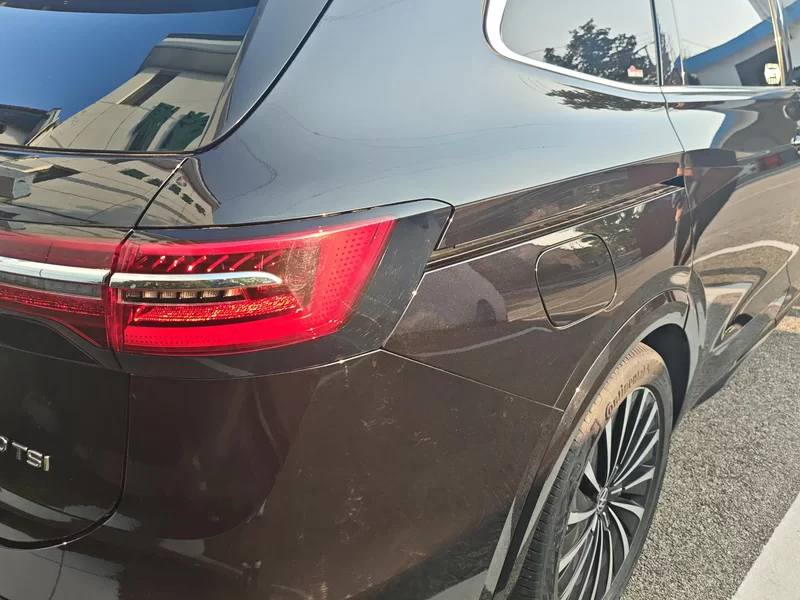 Volkswagen Viloran 2020 car image #6