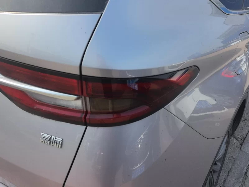 GEELY JiaJi 2020 immagine di auto #6