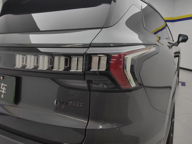 Lynk & Co 09 EM-P 2022 car image #6