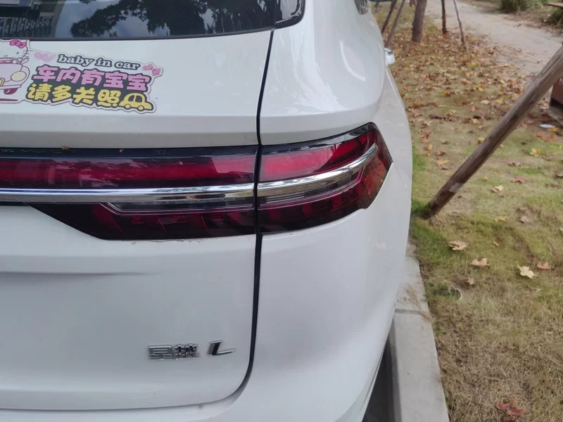 GEELY Tugella 2024 car image #6