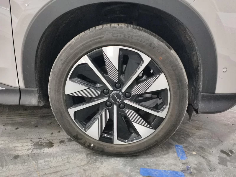 BYD Song Plus New Energy 2025 immagine di auto #6