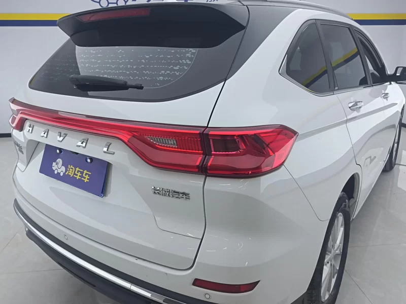 Haval M6 2021 car image #6