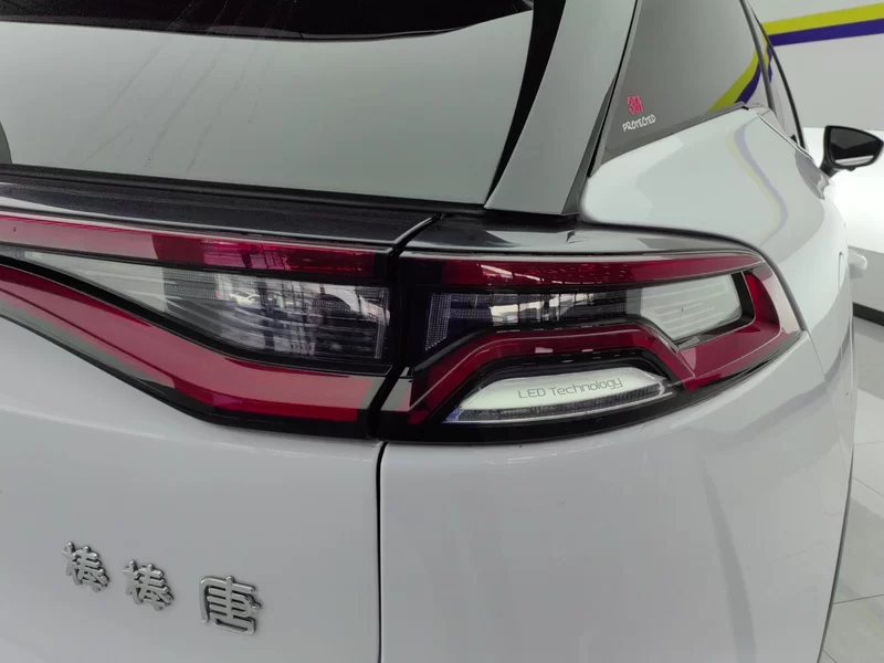 BYD 2023 #6 BYD 2023 immagine di auto #6