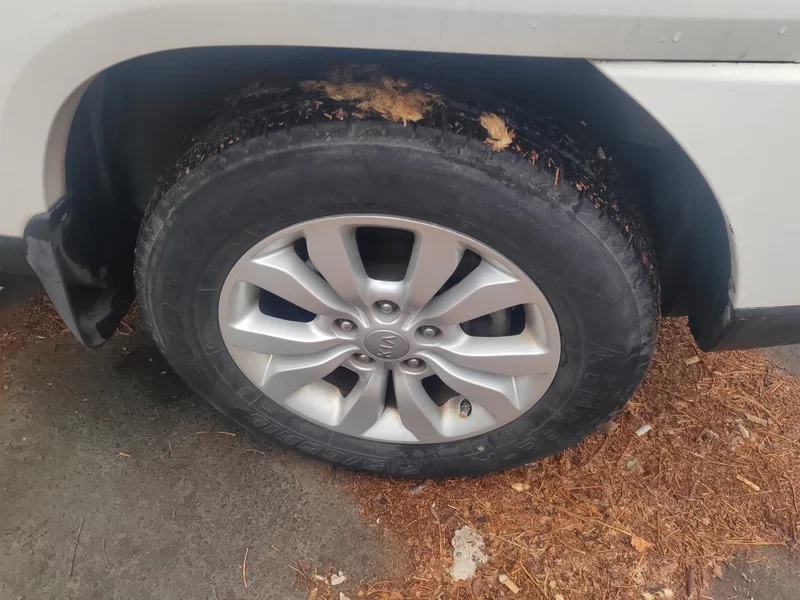 起亚 狮跑 2016 汽车图片 #6