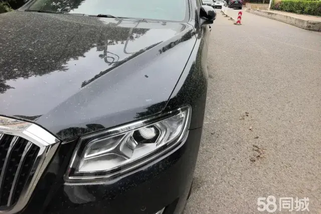 HongQi H7 2019 #6 HongQi H7 2019 immagine di auto #6