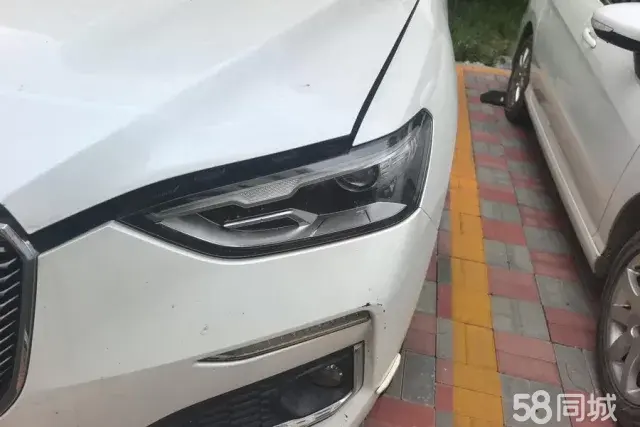 Haval F5 2019 car image #6