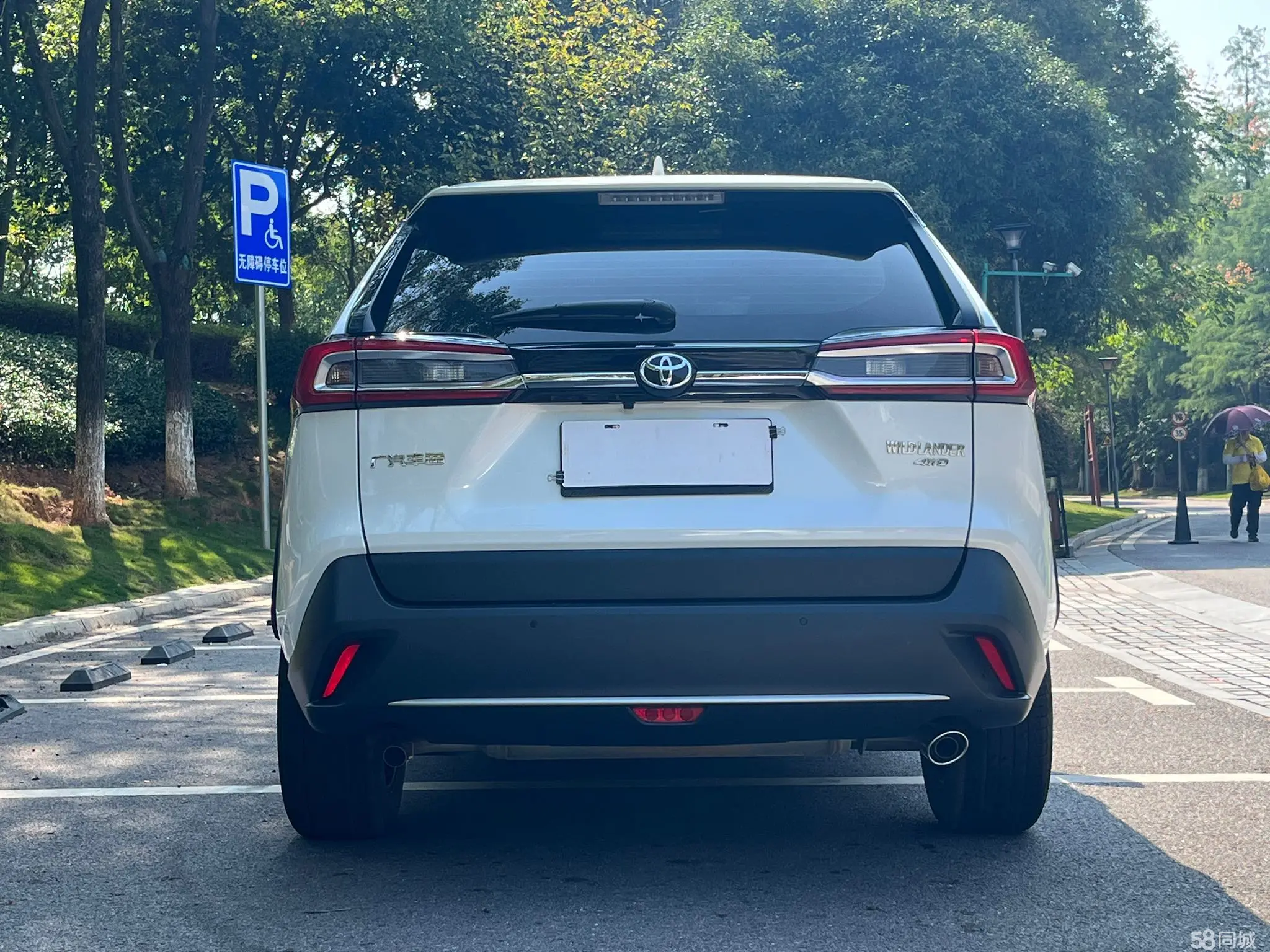 Toyota Wildlander 2022 imagem de carro #6