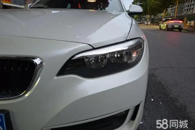 BMW 2 Series (Imported) 2016 imagen de coche #6