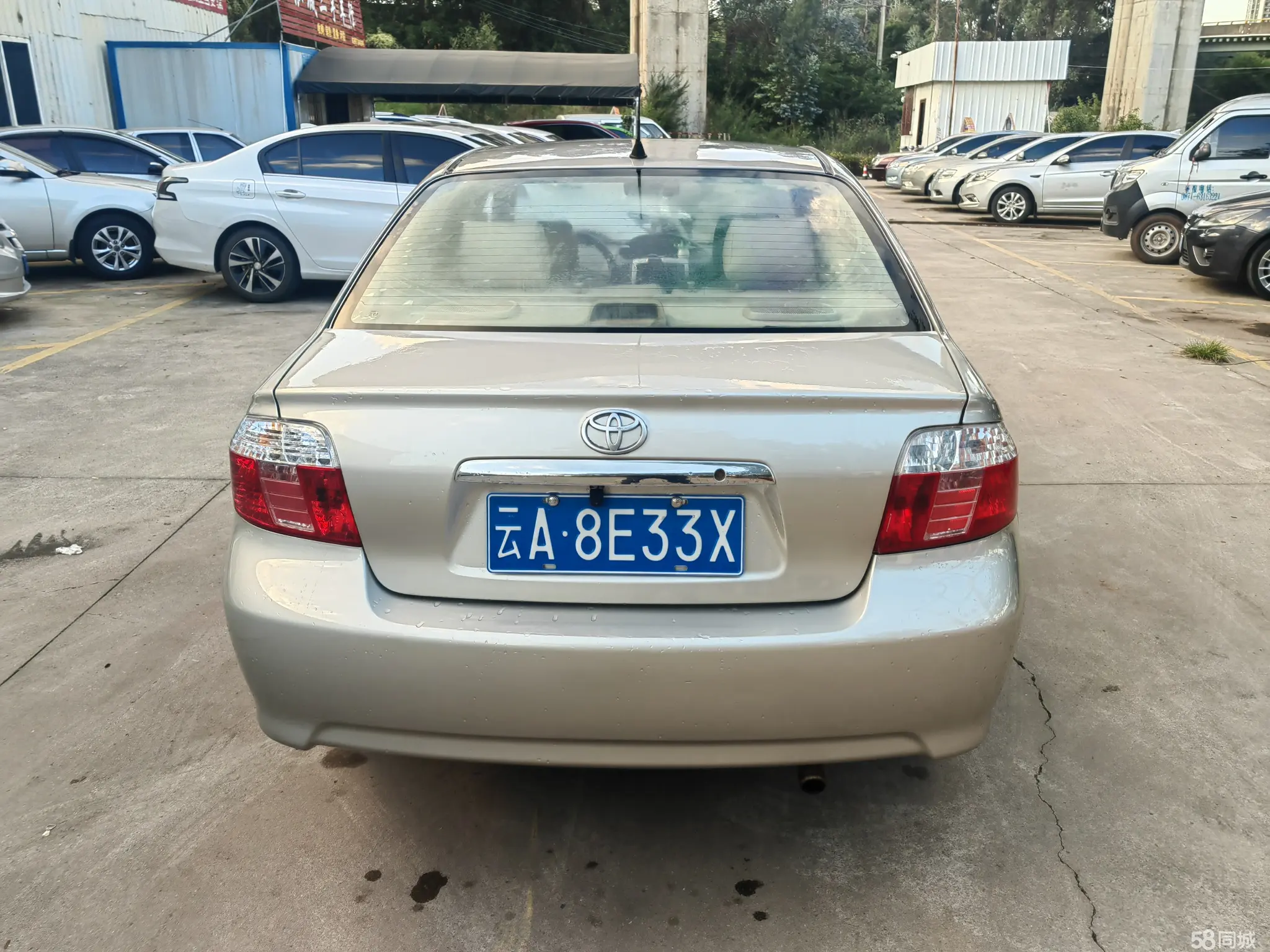 Toyota Vios 2006 car image #6