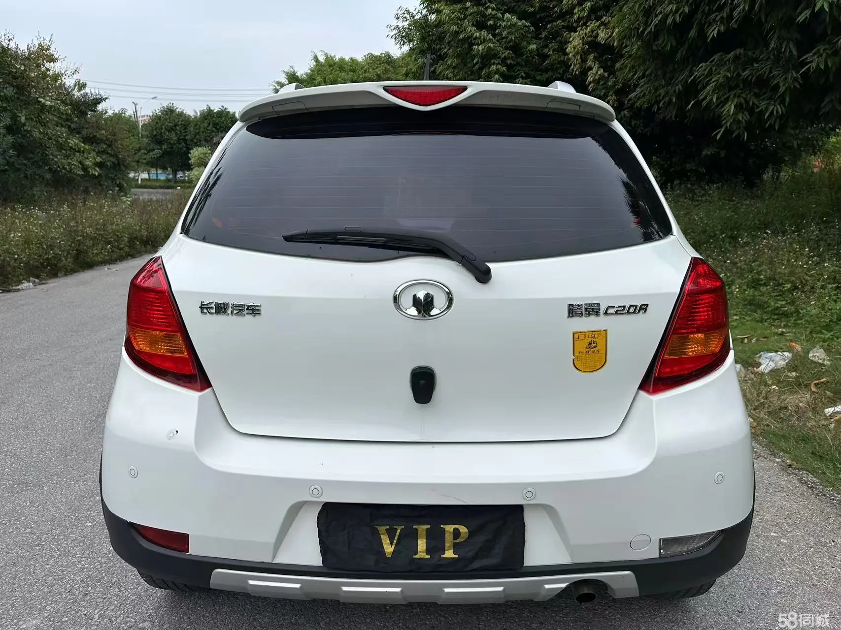 Great Wall C20R 2012 car image #6