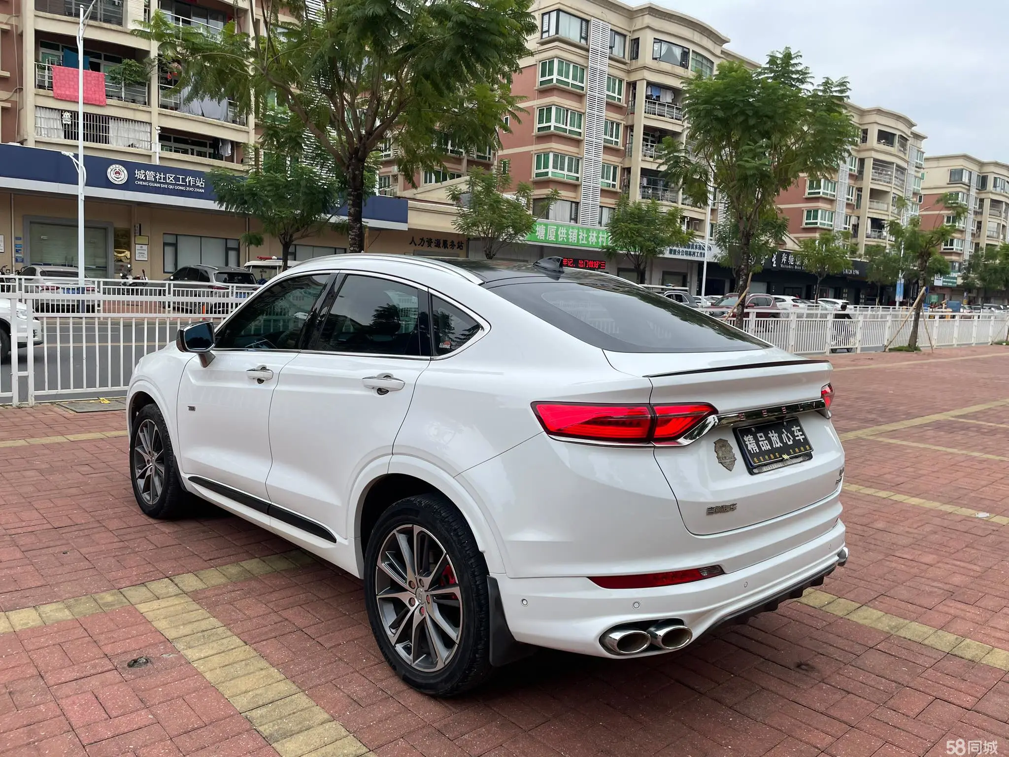 GEELY Tugella 2019 car image #6