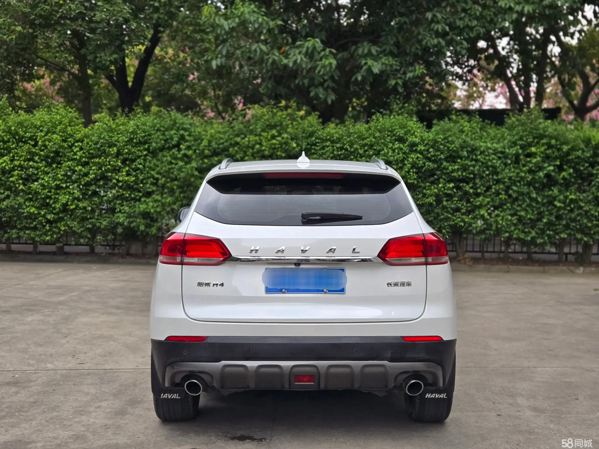 Haval H4 2019 #6 Haval H4 2019 car image #6