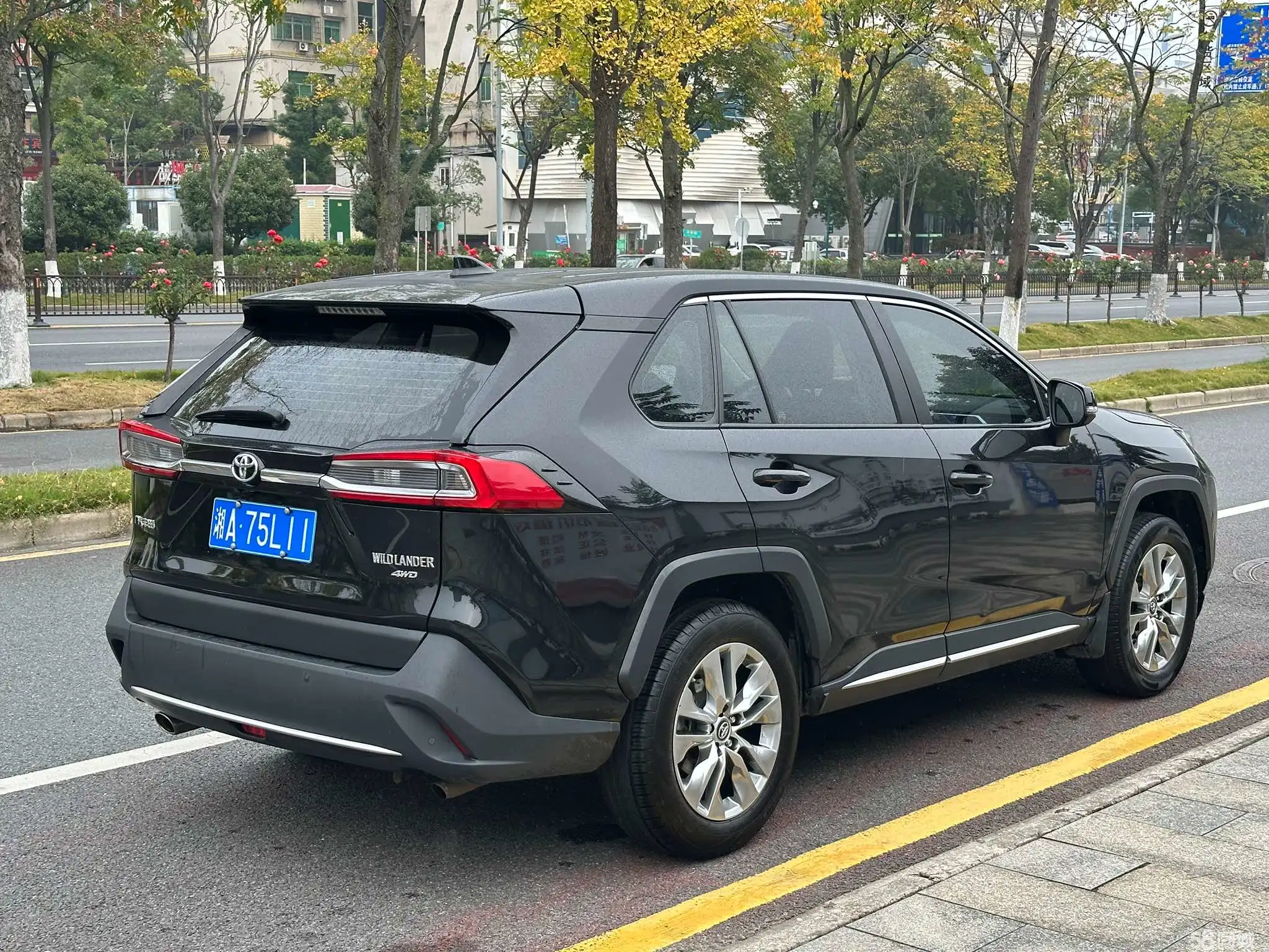 Toyota Wildlander 2022 imagem de carro #6