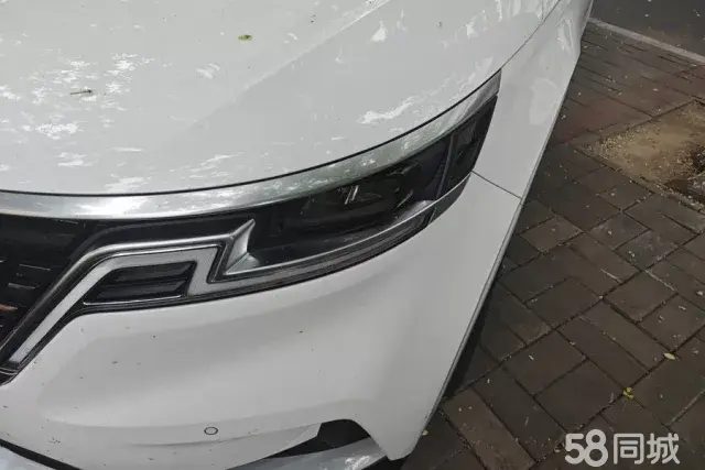 起亚 SPORTAGE 2022 汽车图片 #6