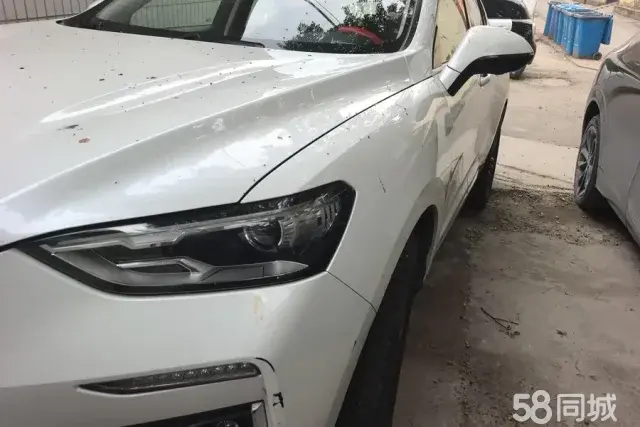 Haval F5 2018 car image #6