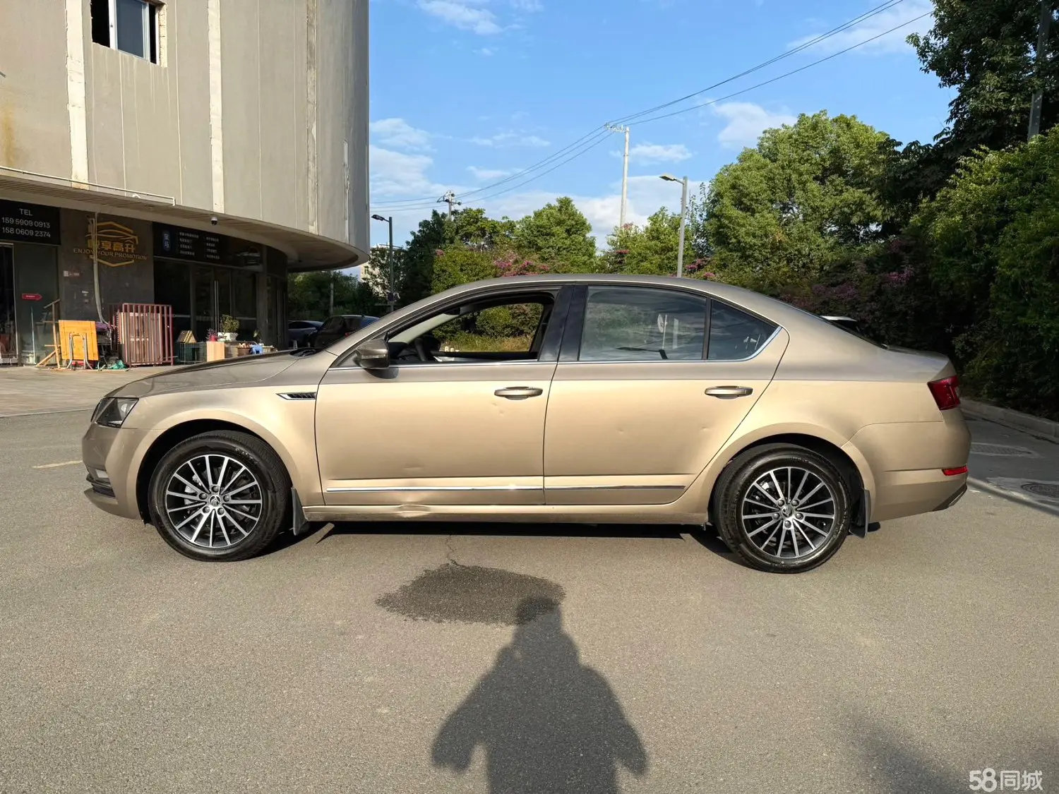 Skoda Octavia 2019 immagine di auto #6